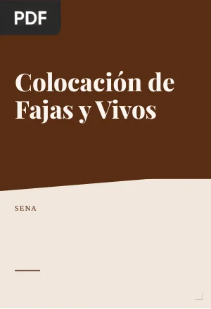 Colocación de Fajas y Vivos