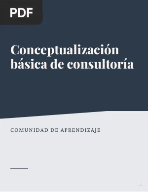 Conceptualización básica de consultoría