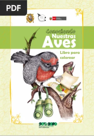 Conociendo Nuestras Aves: Libro para Colorear