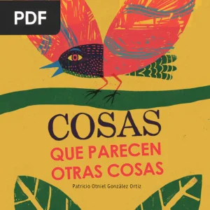 Cosas que parecen otras cosas