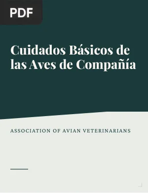 Cuidados Básicos de las aves de compañía