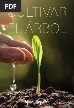 Cultivar el Árbol