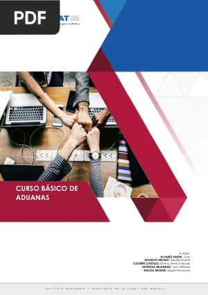 Curso Básico de Aduanas