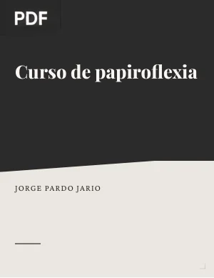 Curso de papiroflexia
