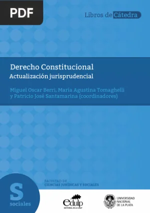 Derecho constitucional: actualización jurisprudencial