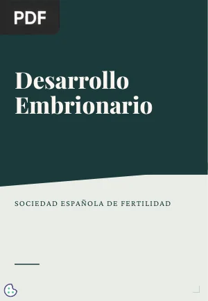 Desarrollo embrionario