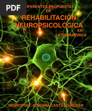Diferentes Propuestas de Rehabilitación Neuropsicológica en Latinoamérica