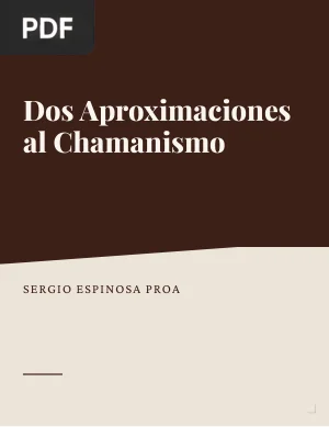 Dos aproximaciones al chamanismo