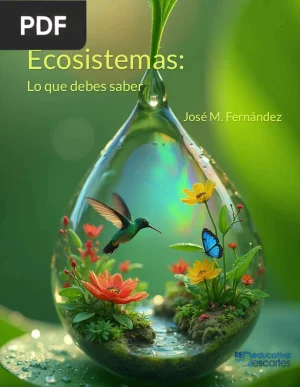 Ecosistemas: Lo que Debes Saber