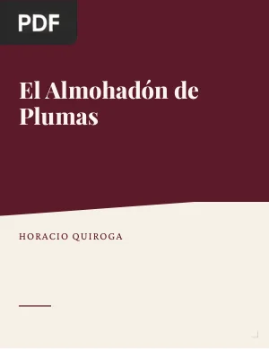 El Almohadón de Plumas