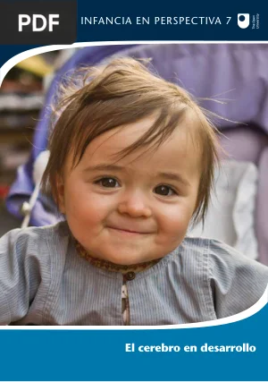 El cerebro en desarrollo