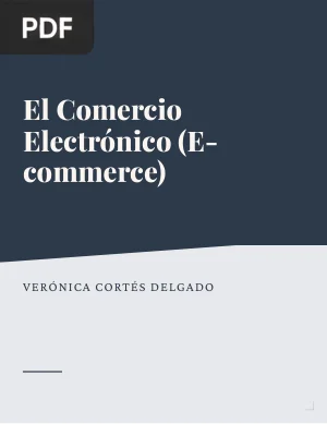 El Comercio Electrónico (E-commerce) (Artículo)