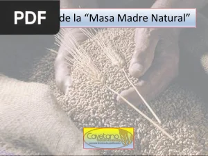El Cultivo de la Masa Madre Natural