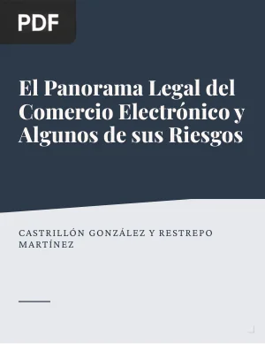 El Panorama Legal del Comercio Electrónico y Algunos de sus Riesgos