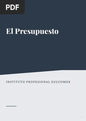 El presupuesto