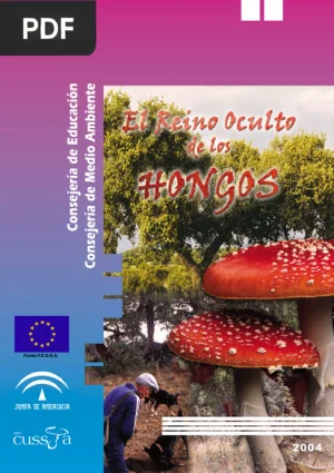 El reino oculto de los hongos