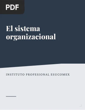 El sistema organizacional