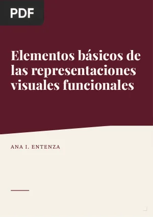 Elementos básicos de las representaciones visuales funcionales
