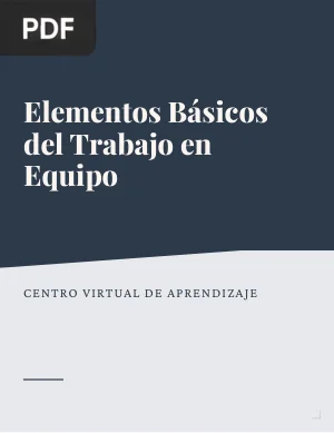 Elementos básicos del trabajo en equipo