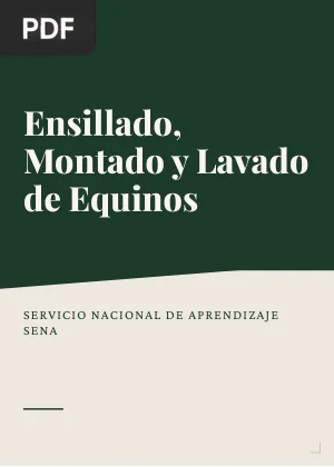 Ensillado, Montado y Lavado de Equinos