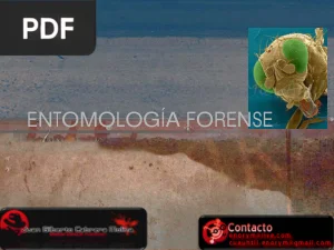 Entomología Forense
