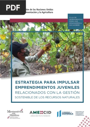 Estrategia para Impulsar Emprendimientos Juveniles Sostenibles