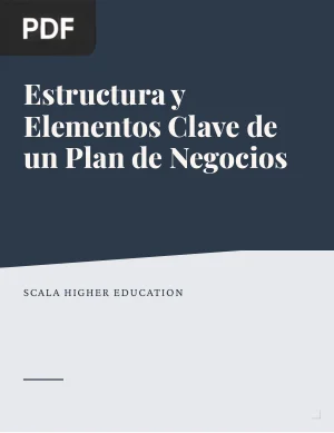 Estructura y elementos clave de un plan de negocios