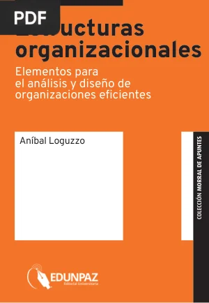 Estructuras organizacionales: elementos para el análisis y diseño de organizaciones eficientes