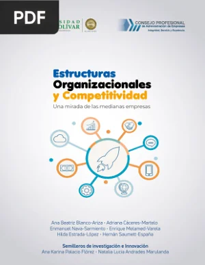 Estructuras organizacionales y competitividad: una mirada a las medianas empresas