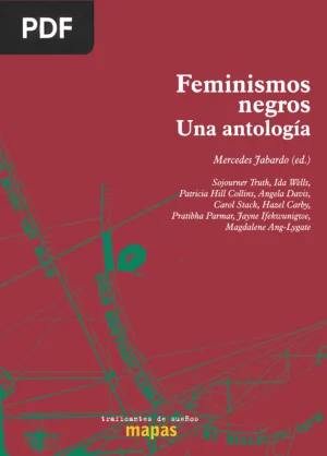 Feminismos negros: una antología
