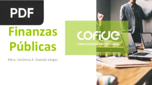 Finanzas Públicas