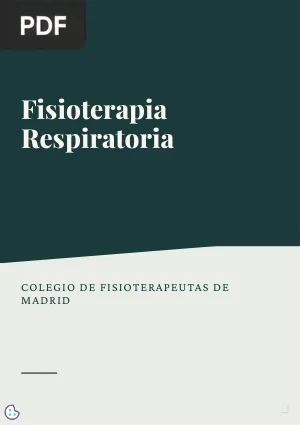 Fisioterapia Respiratoria: Documento Marco