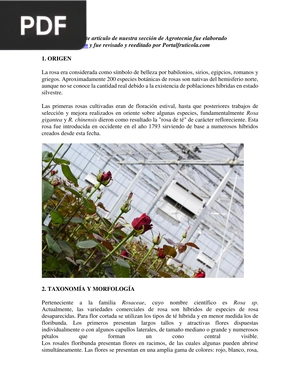 Floricultura Manual para Producir Rosas