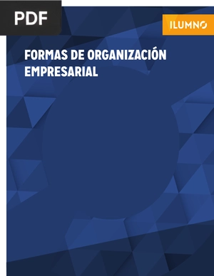 Formas de Organización Empresarial