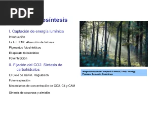 Fotosíntesis: Captación de Energía y Fijación de CO2