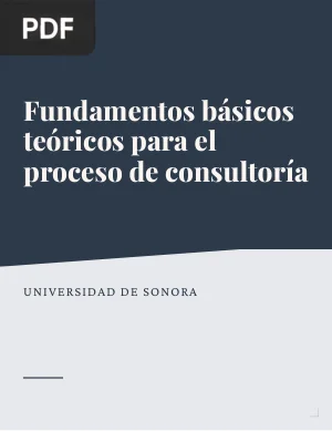 Fundamentos básicos teóricos para el proceso de consultoría