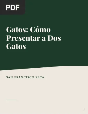 Gatos: Cómo presentar a dos gatos (Artículo)