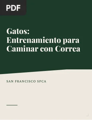 Gatos: Entrenamiento para caminar con correa