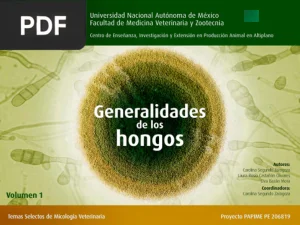 Generalidades de los hongos