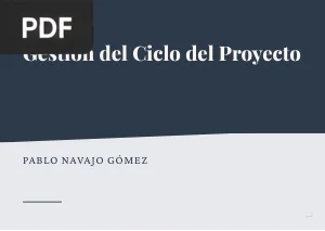 Gestión del ciclo del proyecto