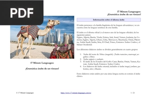 ¡Gramática árabe de un vistazo!