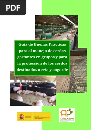 Guía de Buenas Prácticas para el Manejo de Cerdas Gestantes
