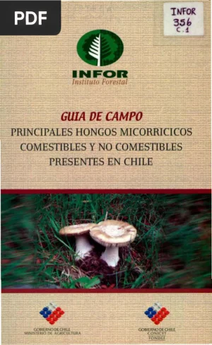 Guía de campo: principales hongos micorrícicos comestibles y no comestibles presentes en Chile