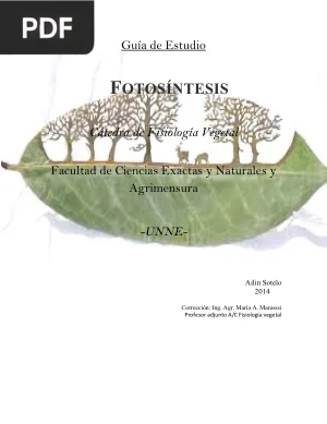 Guía de Estudio: Fotosíntesis
