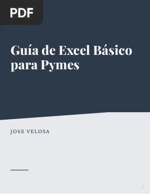 Guía de Excel Básico para Pymes