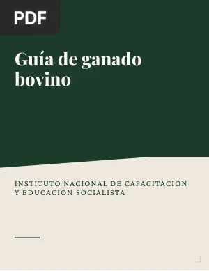 Guía de ganado bovino