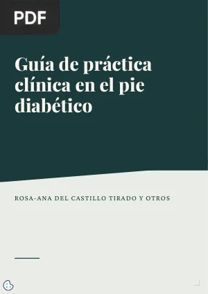 Guía de práctica clínica en el pie diabético