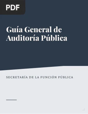 Guía General de Auditoría Pública