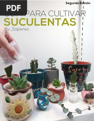Guía para Cultivar Suculentas
