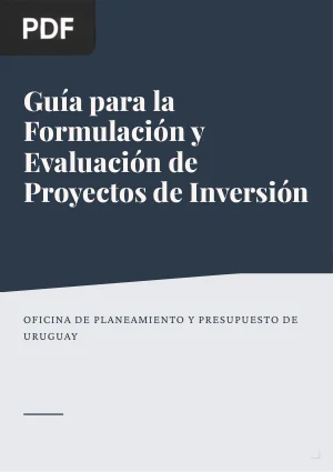 Guía para la formulación y evaluación de proyectos de inversión (sector público)